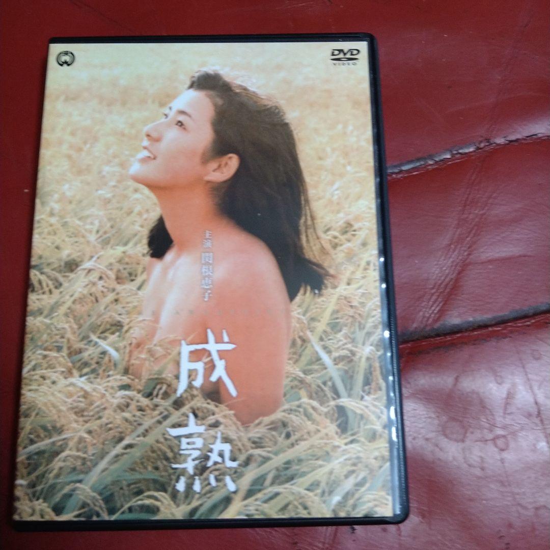 関根恵子 (現 高橋恵子) 大映青春傑作選 DVD-BOX 3枚組