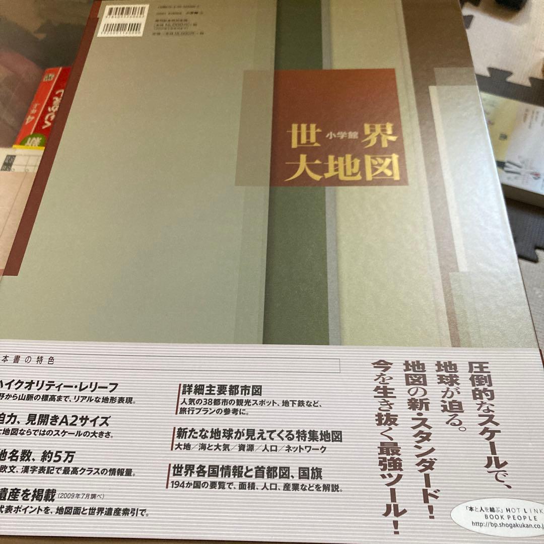 世界大地図　即購入可