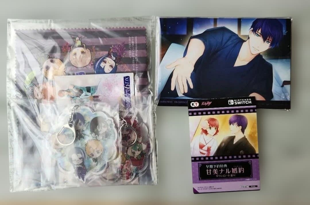 Switchソフト 遙かなる時空の中で6 DX その先の未来へBOX