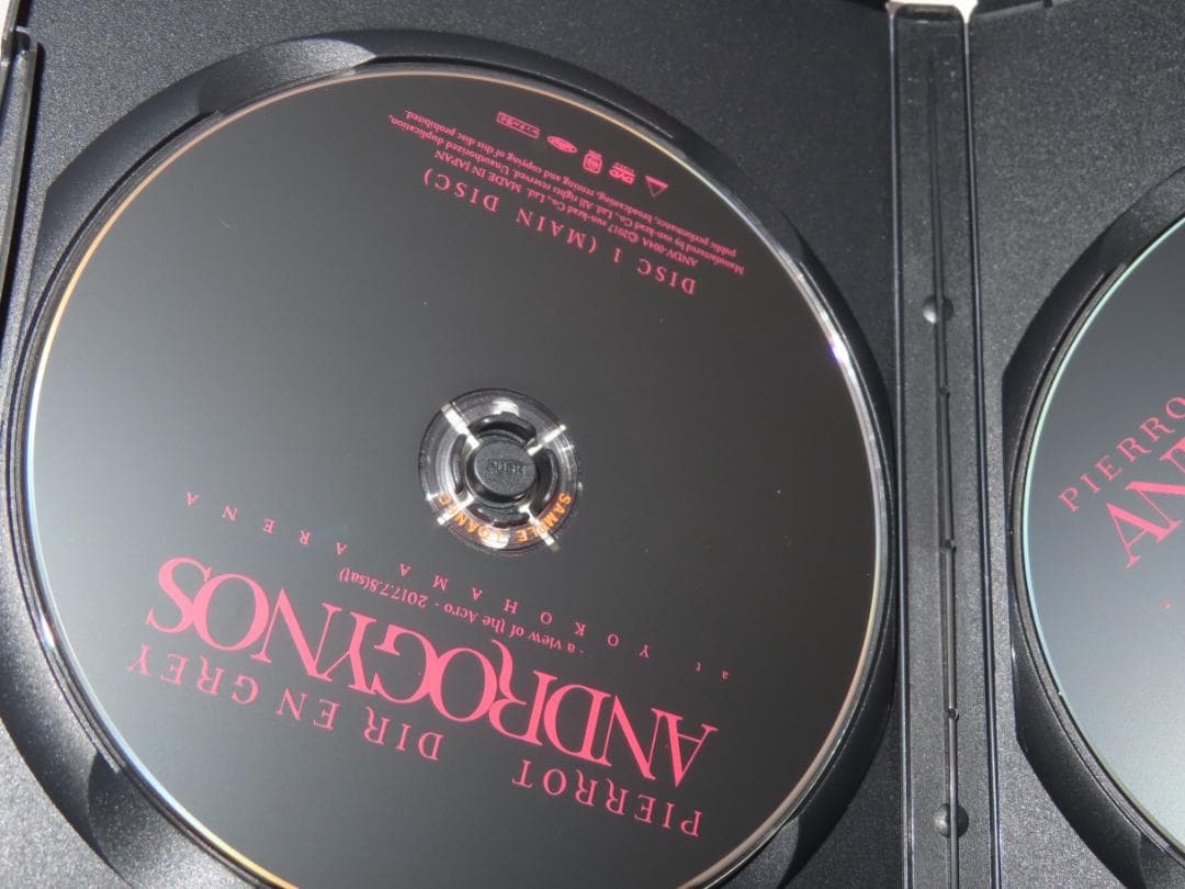 LIVE DVD 「ANDROGYNOS」PIERROT DIR EN