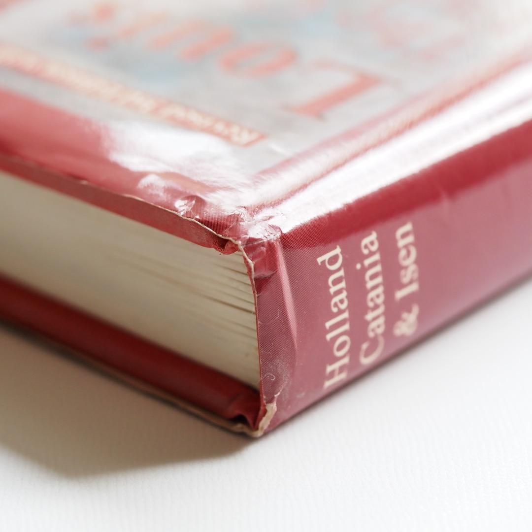 ルイイカール 画集 / 洋書