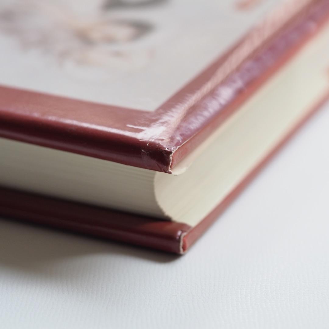 ルイイカール 画集 / 洋書