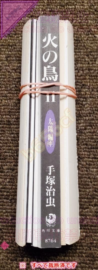 ●DVD 魔法使いと黒猫のウィズ ライブコンサート 2018 +2019 初回版