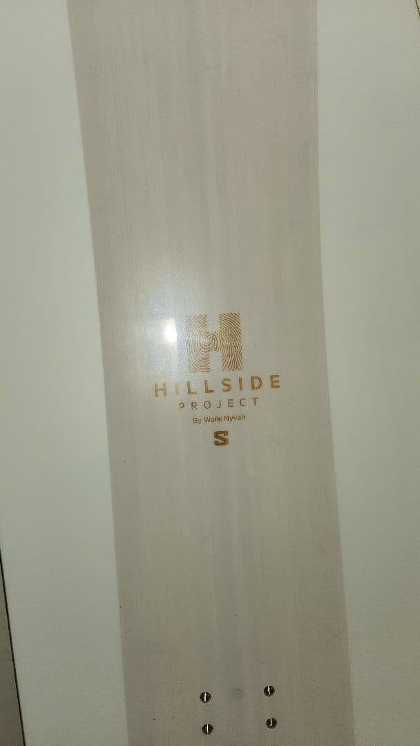 極美品　サロモン　WOLLE NYVELT HPS fish 149　パウダー