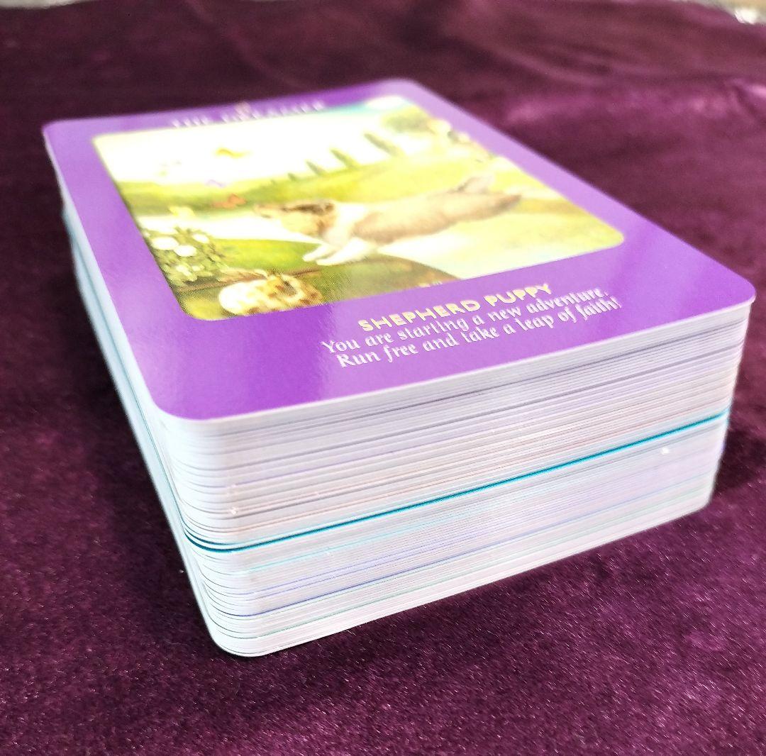 アニマルタロットカード 日本語解説書付き ドリーン・バーチュー