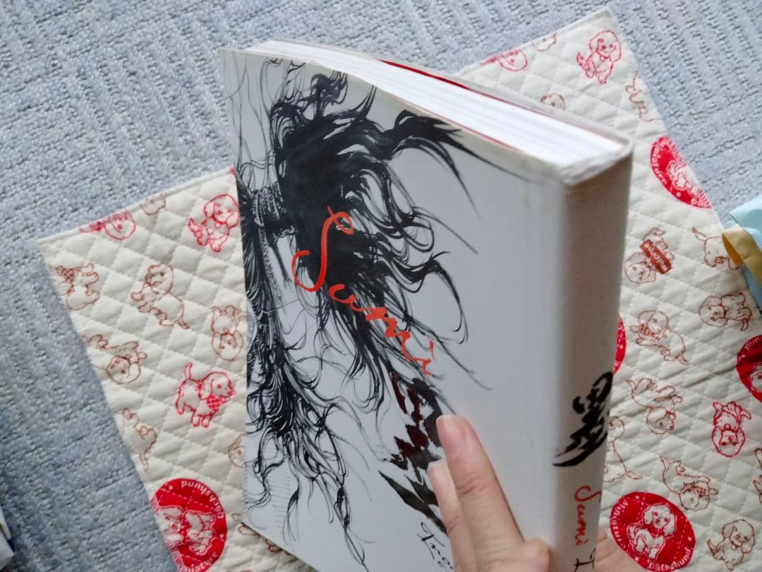 バガボンド画集『墨』　井上 雄彦　少し傷みあり