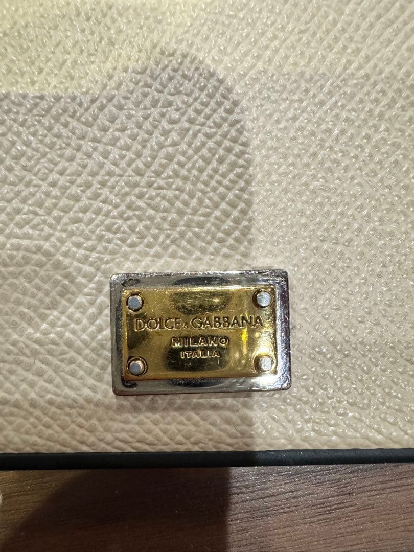 DOLCE＆GABBANA (ドルガバ)iPhone13ProMax ケース