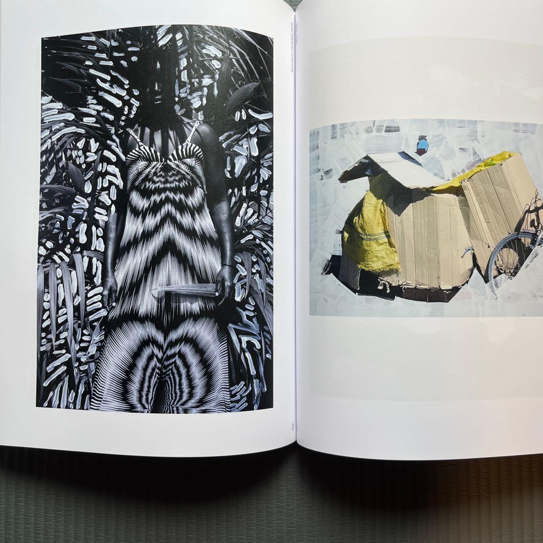 アート・デザイン・音楽 VIVIANE SASSEN Phosphor