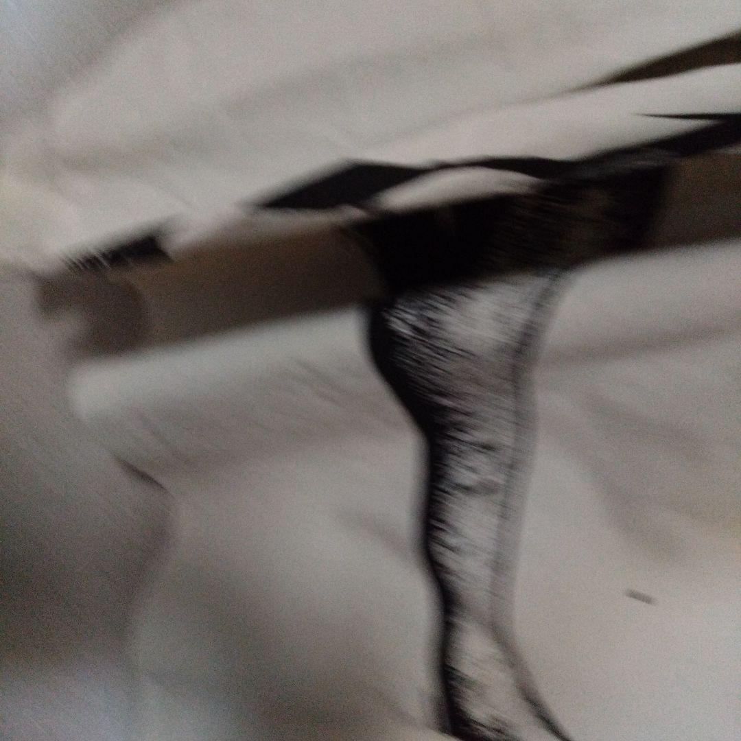 グラニフ　鋼の錬金術師 ロングtシャツ 未使用