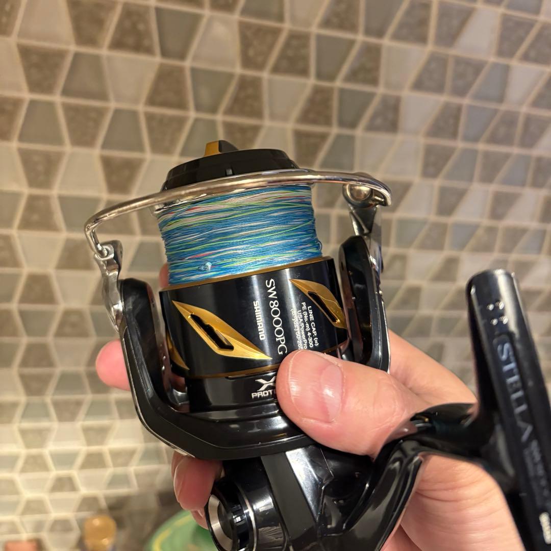 fkjjs シマノ 19ステラSW 8000PG STELLA リール