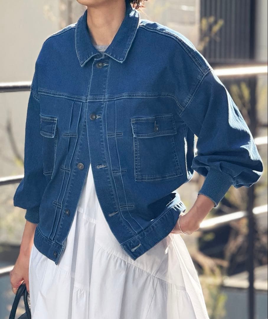 BEARDSLEY 袖パフGジャン