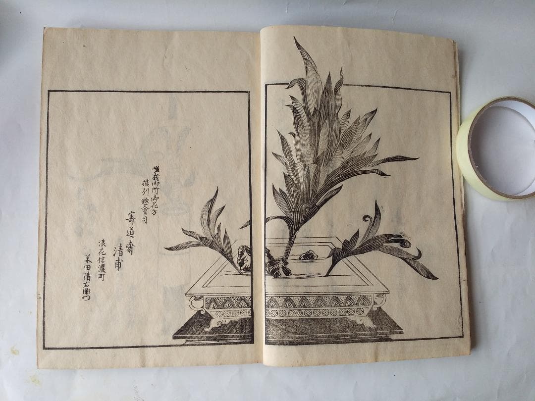 『 挿花 常磐艸 』未陽齋篤甫 著 花道家元未生御流 花道家元藏板 文政十三年序