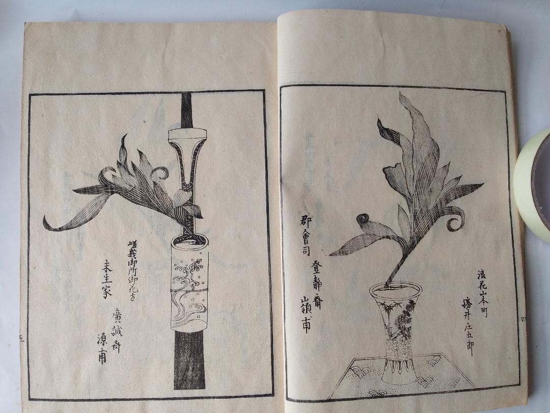 『 挿花 常磐艸 』未陽齋篤甫 著 花道家元未生御流 花道家元藏板 文政十三年序