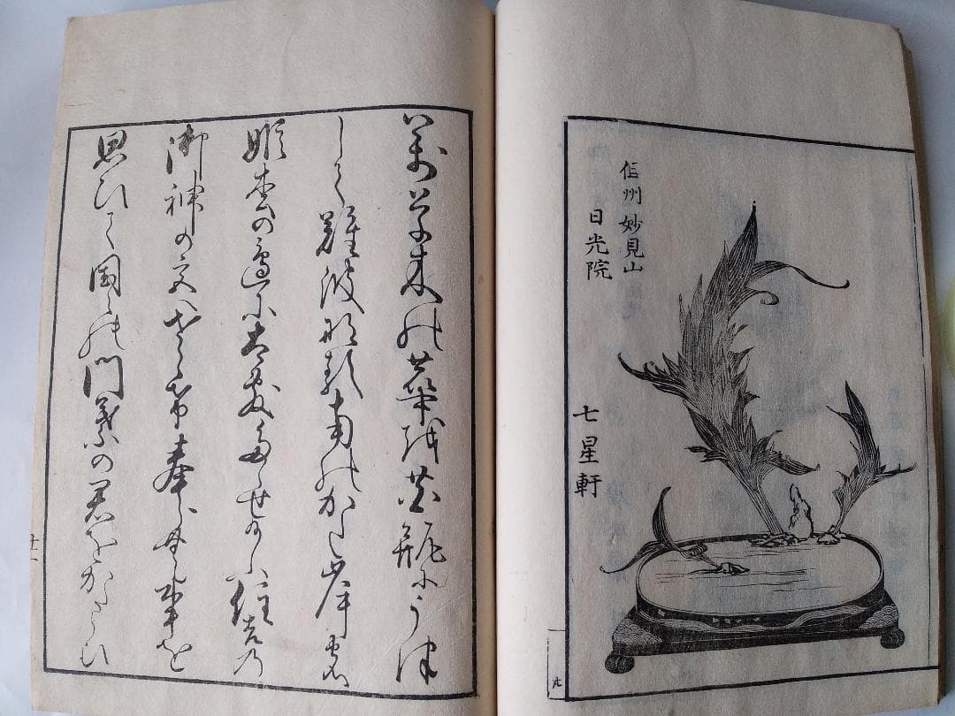 『 挿花 常磐艸 』未陽齋篤甫 著 花道家元未生御流 花道家元藏板 文政十三年序