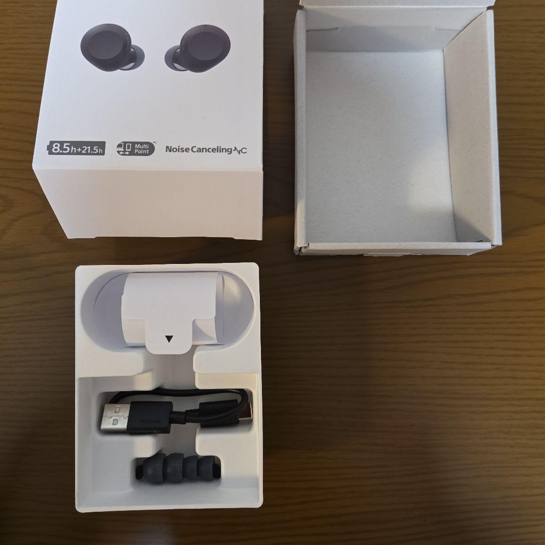 SONY / ワイヤレスイヤホン