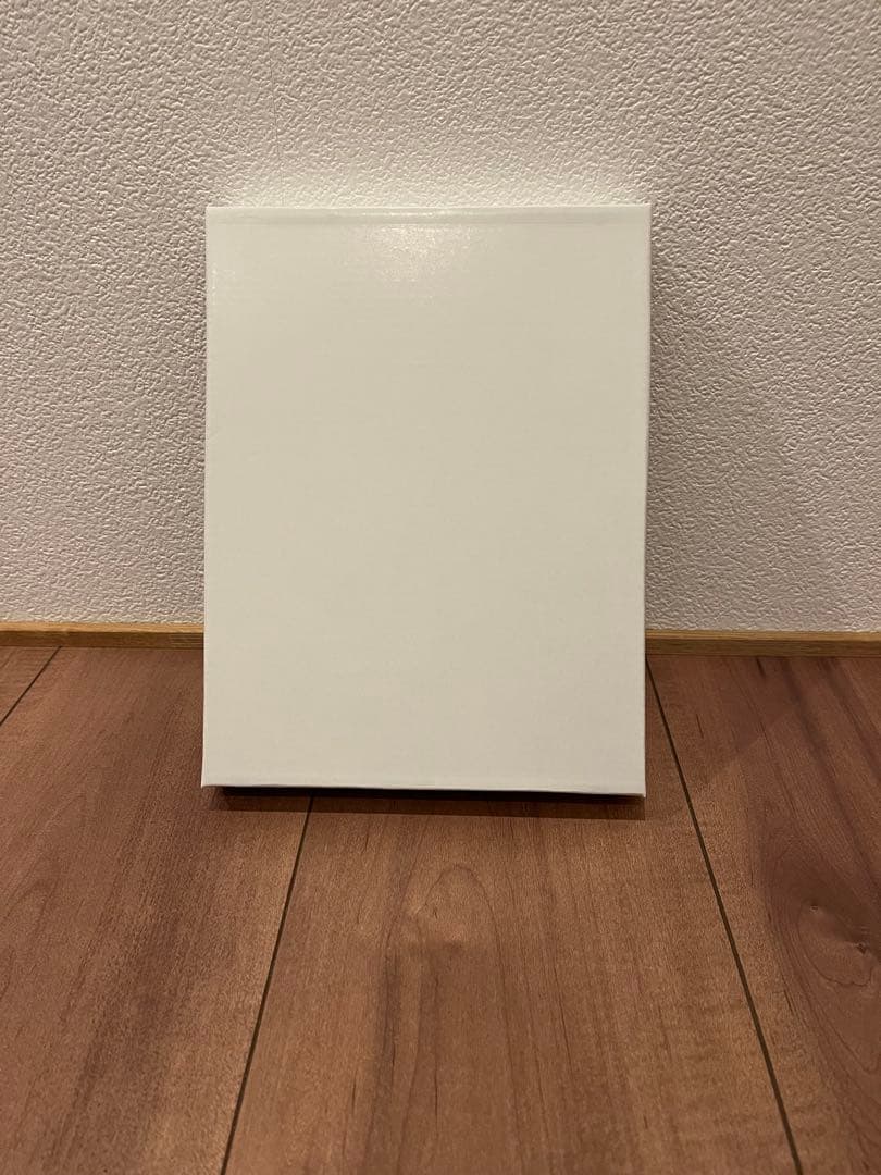 大谷翔平 165km/h 記録 フレーム入り【値下げ】