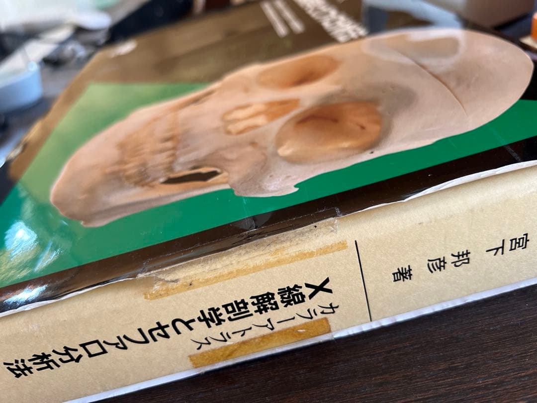 カラーアトラス　X線解剖学とセファロ分析法