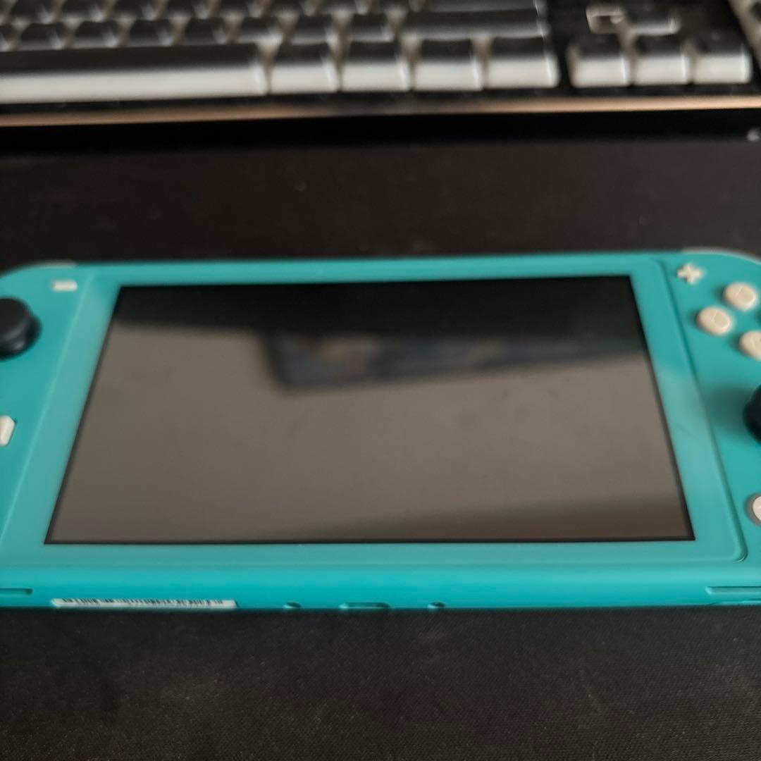 【ジャンク】【動作確認済み】Switchライト