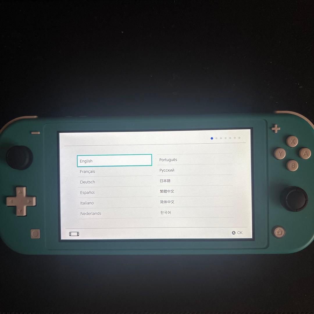【ジャンク】【動作確認済み】Switchライト