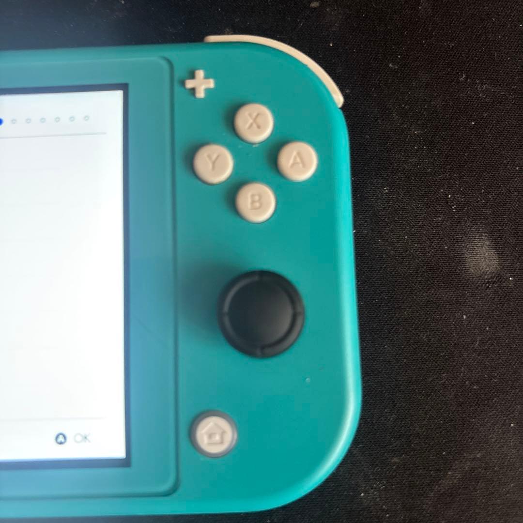 【ジャンク】【動作確認済み】Switchライト