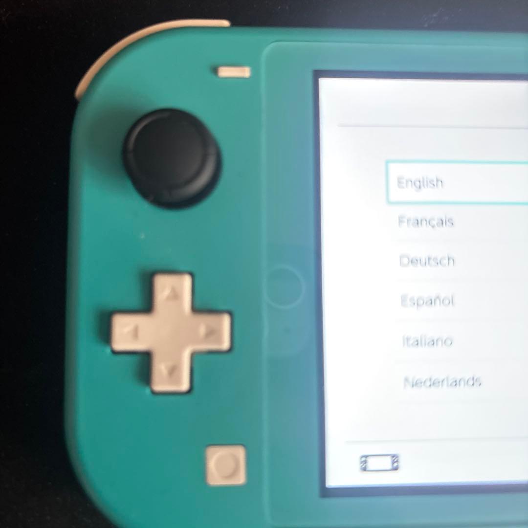 【ジャンク】【動作確認済み】Switchライト