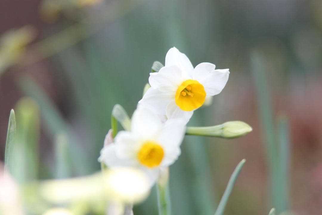 キヤノン　CANON EF 28-200mm f/3.5-5.6 USM ズーム