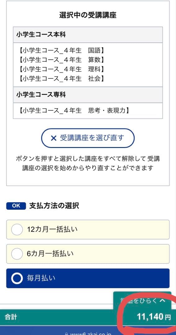 美品！未記入　Z会小学生コース　4年生　エブリスタディハイレベル　思考表現力
