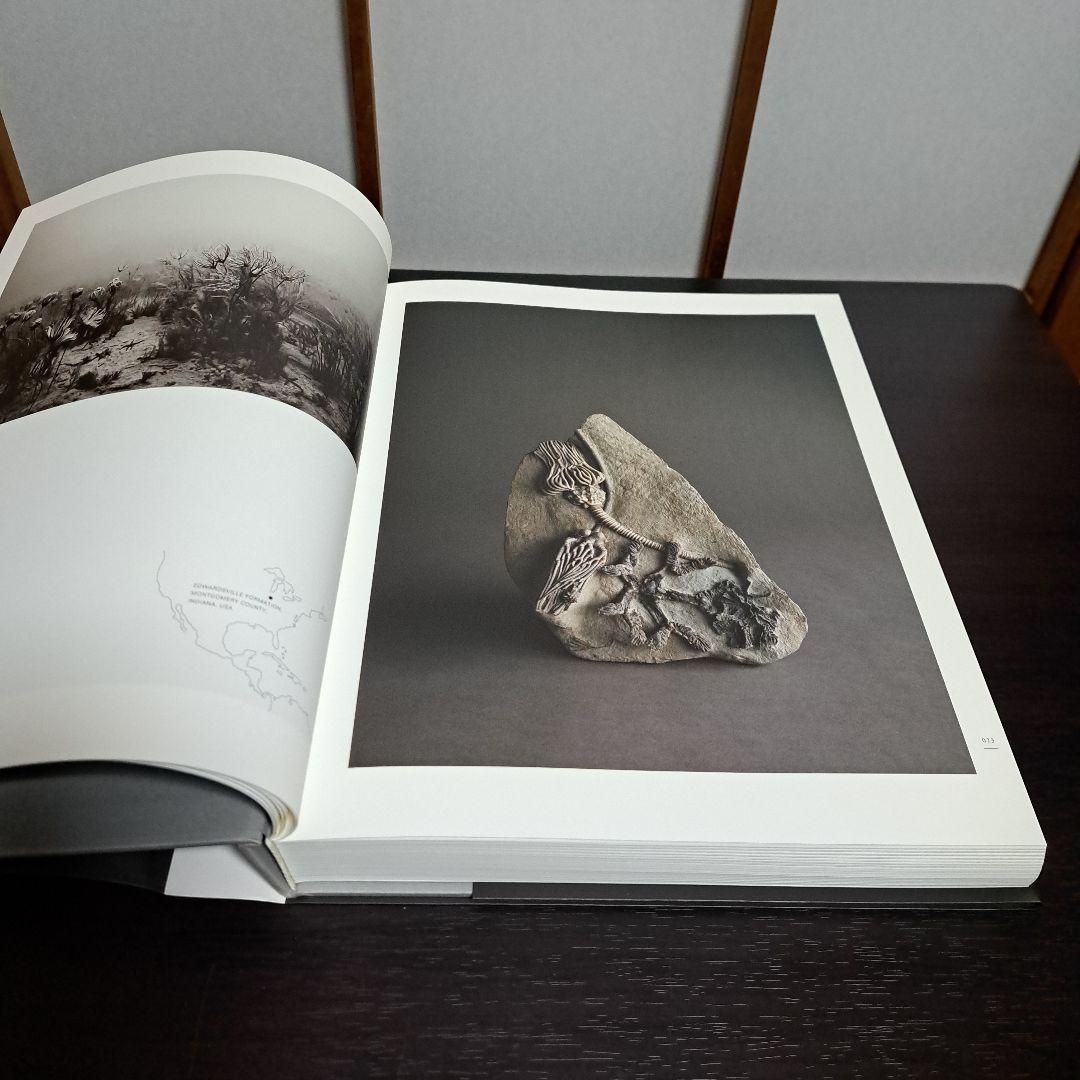 歴史の歴史 杉本博司 新素研 2008年