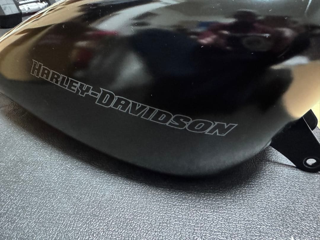 E*N様 Harley-Davidson XL883N スポーツスター フューエ