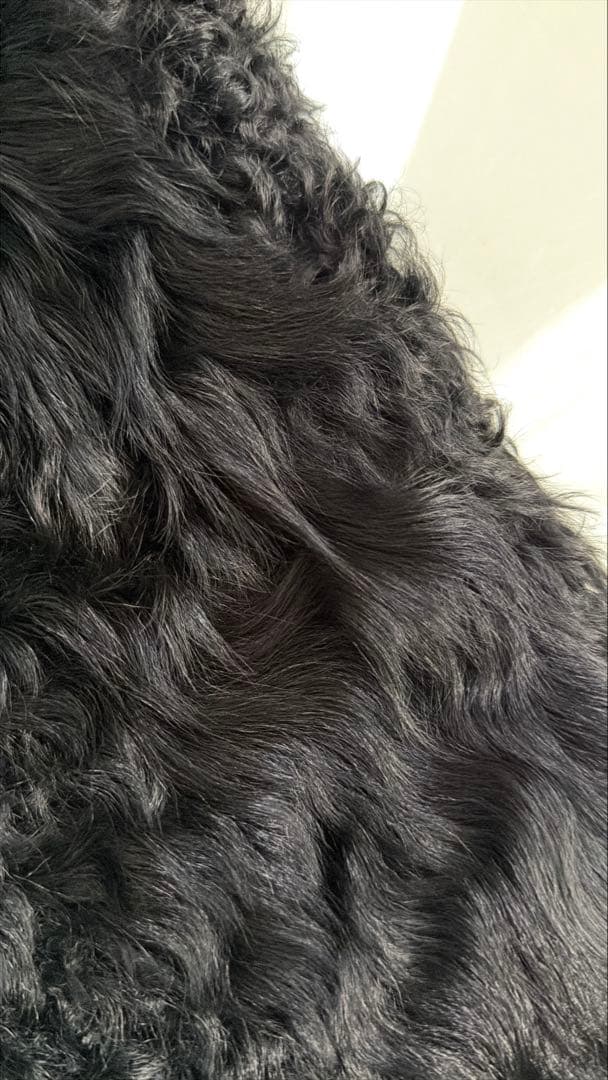 near.nippon ♡ 黒 ラムファー ジレ ベスト リアルファー 羊