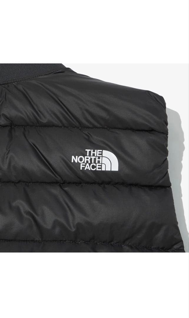 ノースフェイス ダウンベスト TECH PACK DOWN VEST アクティブ