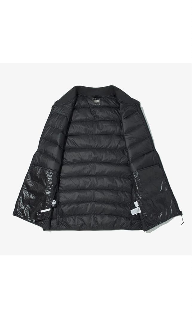 ノースフェイス ダウンベスト TECH PACK DOWN VEST アクティブ