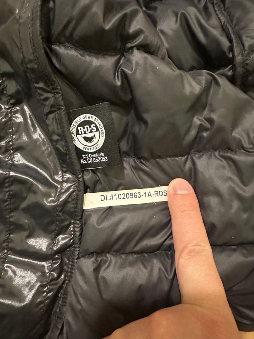 ノースフェイス ダウンベスト TECH PACK DOWN VEST アクティブ