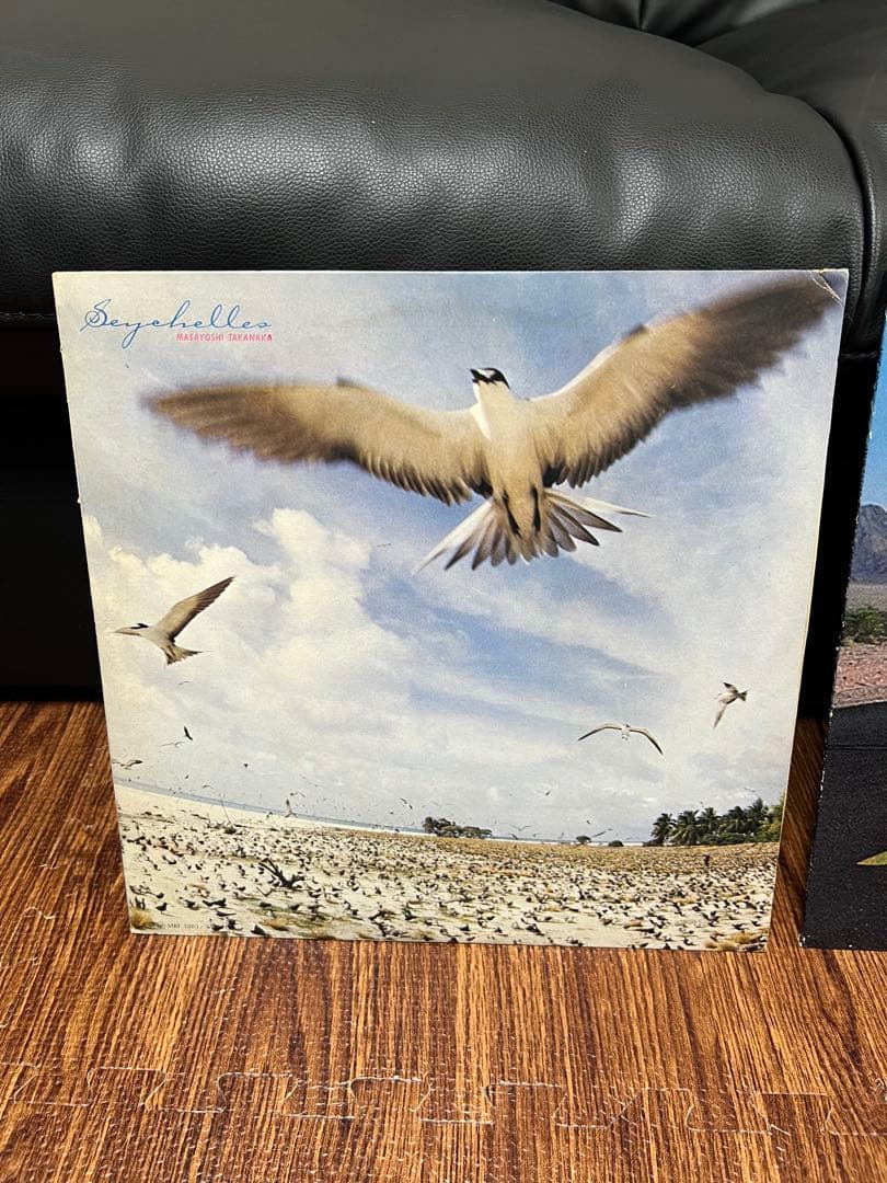 高中正義 SEYCHELLES An Insatiable High 2点