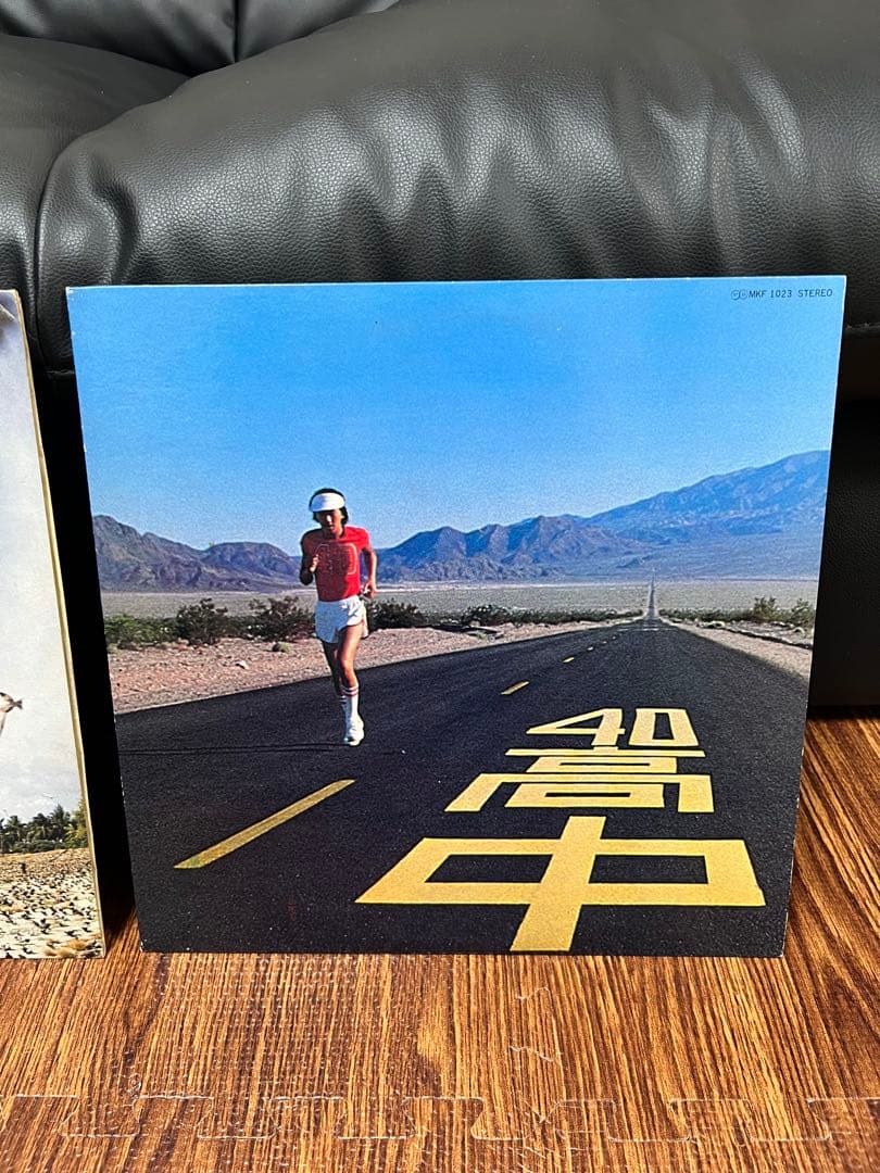 高中正義 SEYCHELLES An Insatiable High 2点