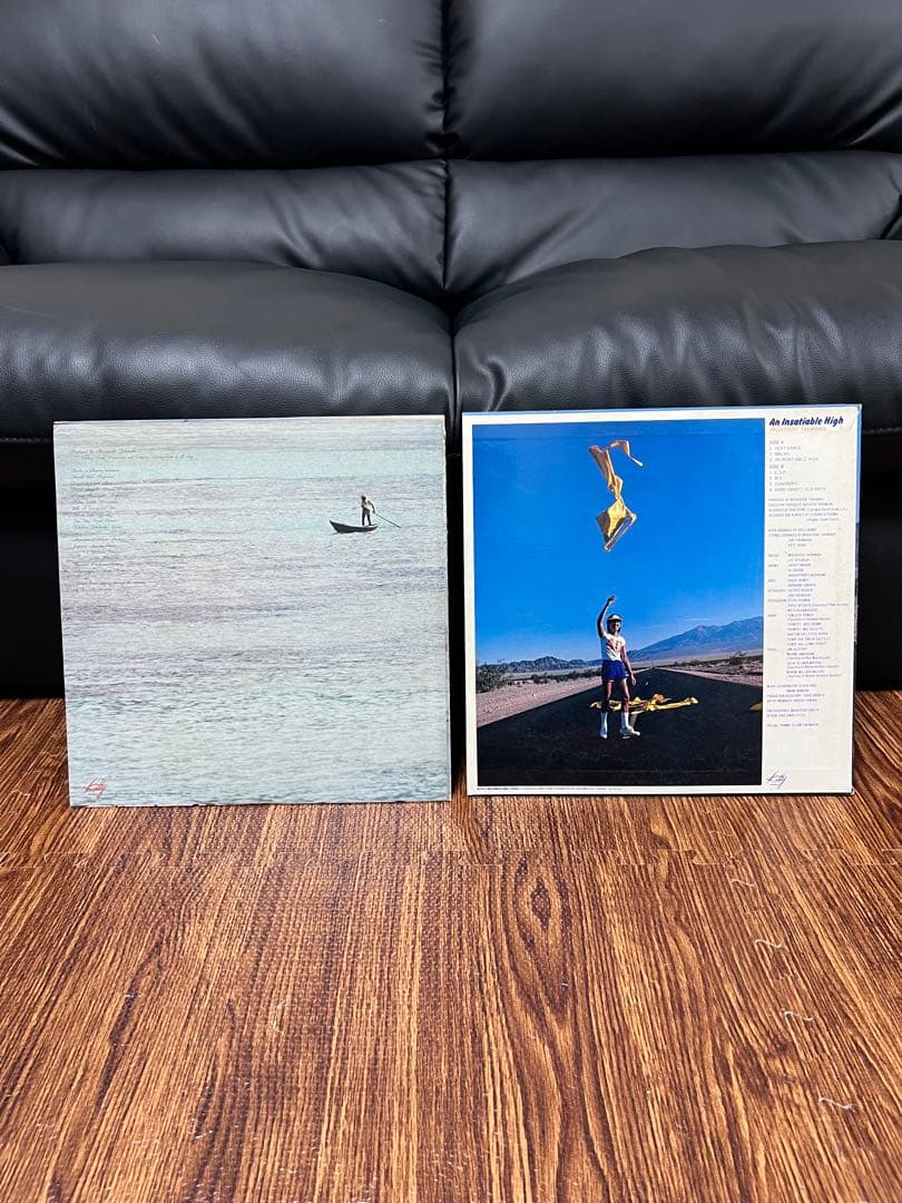 高中正義 SEYCHELLES An Insatiable High 2点