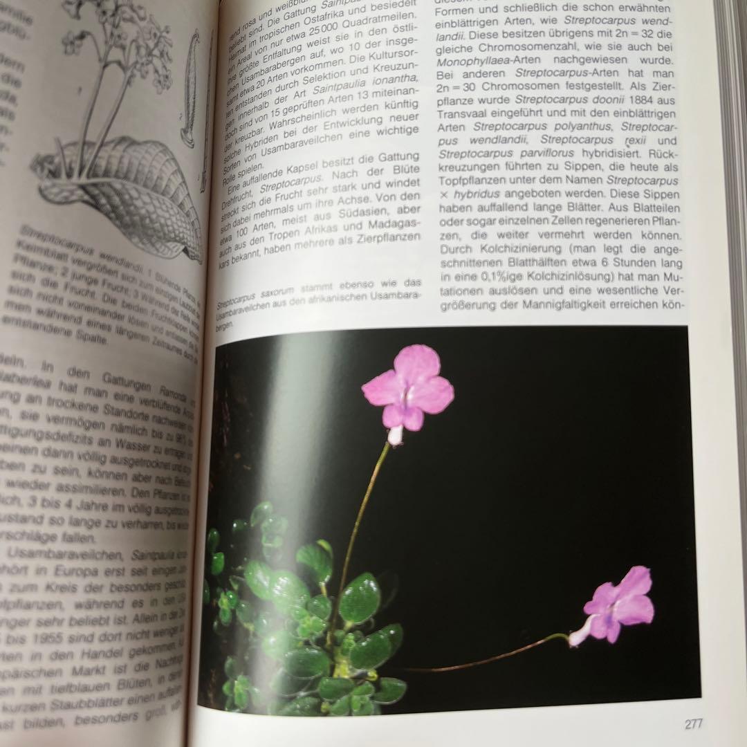 Urania 動物・植物百科事典 全8巻セット