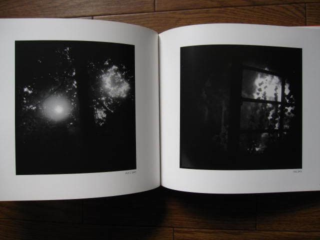 Linger / Mortensen Viggo : ヴィゴ・モーテンセン