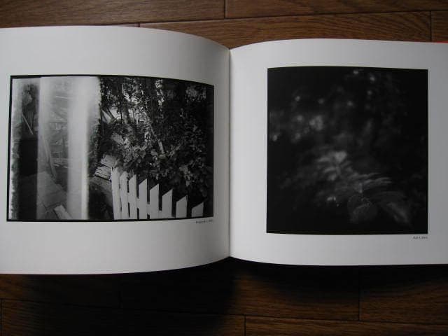 Linger / Mortensen Viggo : ヴィゴ・モーテンセン