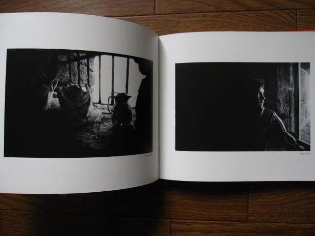 Linger / Mortensen Viggo : ヴィゴ・モーテンセン