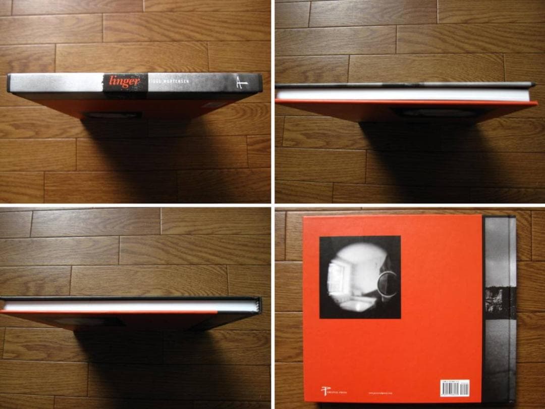 Linger / Mortensen Viggo : ヴィゴ・モーテンセン