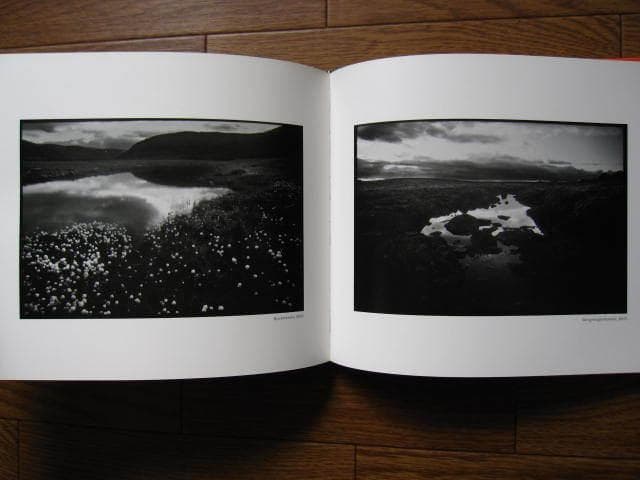 Linger / Mortensen Viggo : ヴィゴ・モーテンセン