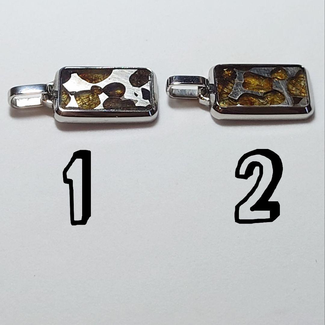 ★パラサイト スクエア型 ペンダント①(SA+)