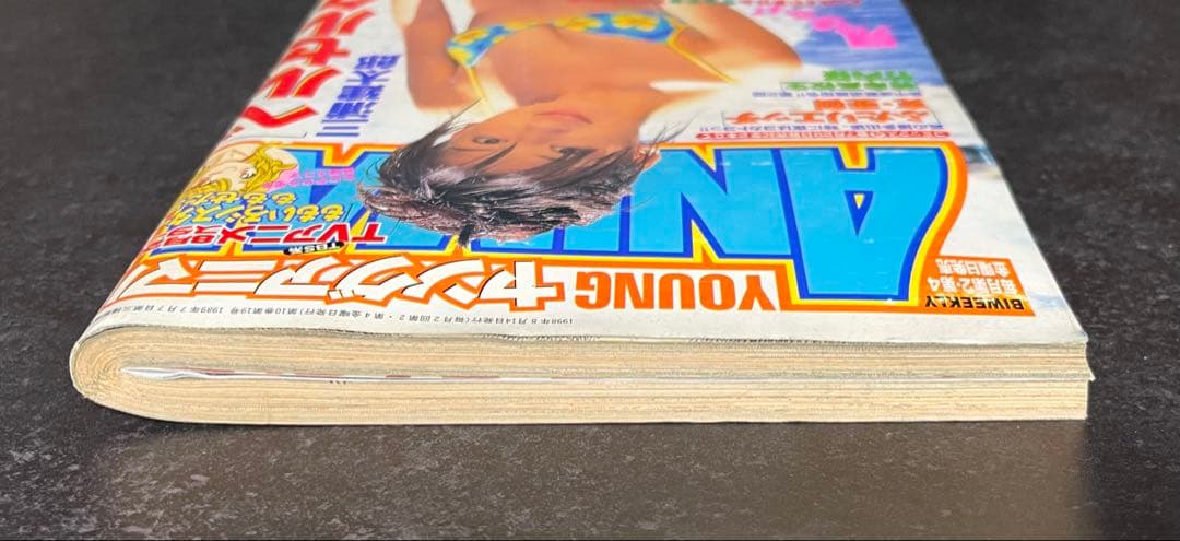 ●ヤングアニマル 1998年 15号 ●巻頭カラー···ベルセルク 第124話