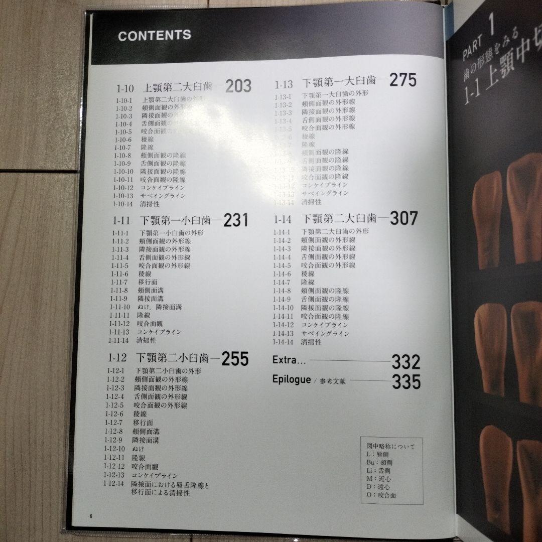 天然歯の形態学 1