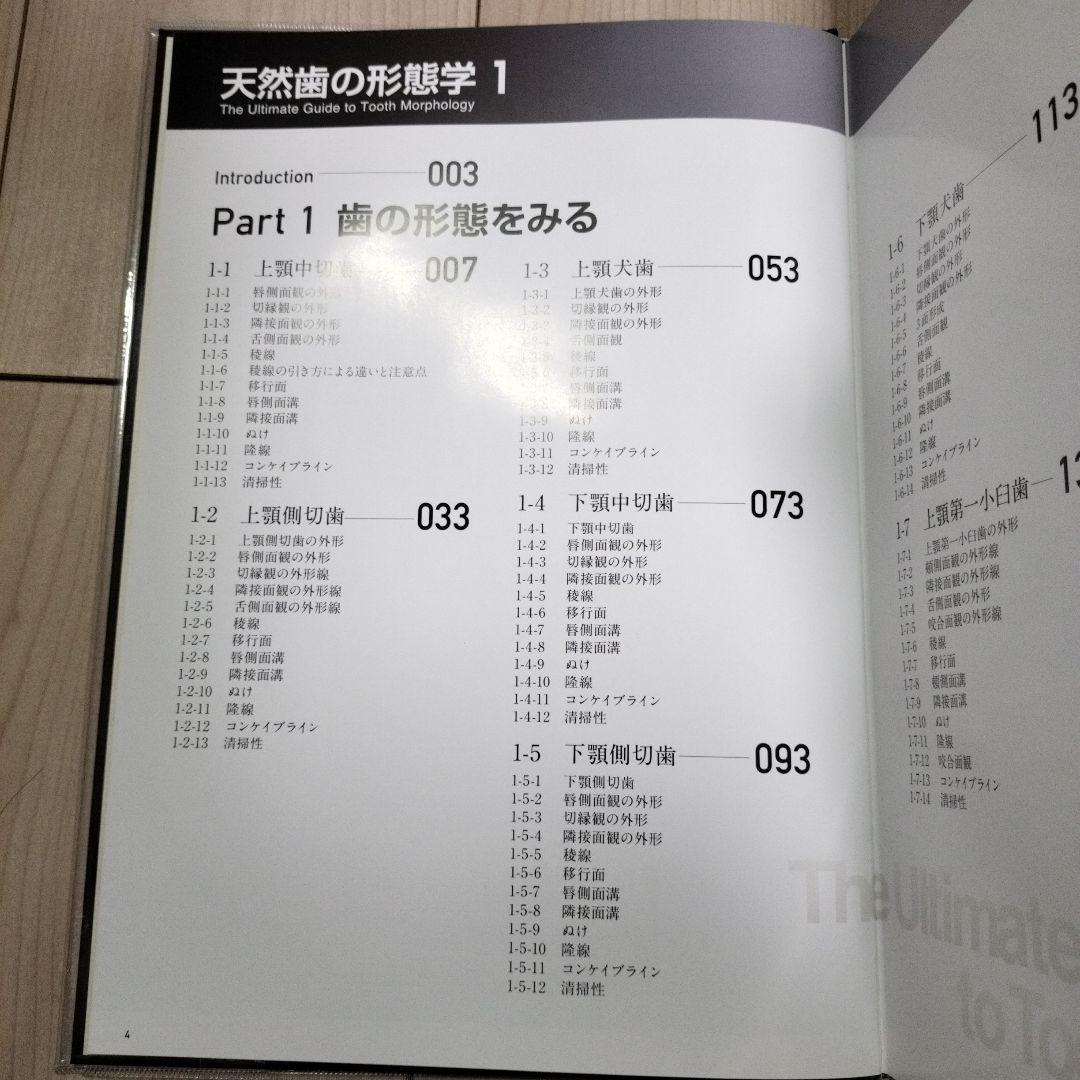 天然歯の形態学 1