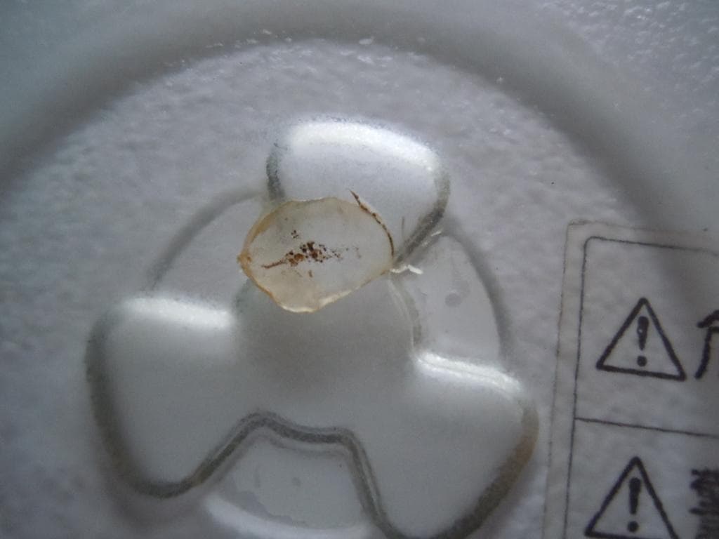 National ナショナル Will ウィル  NE-R1