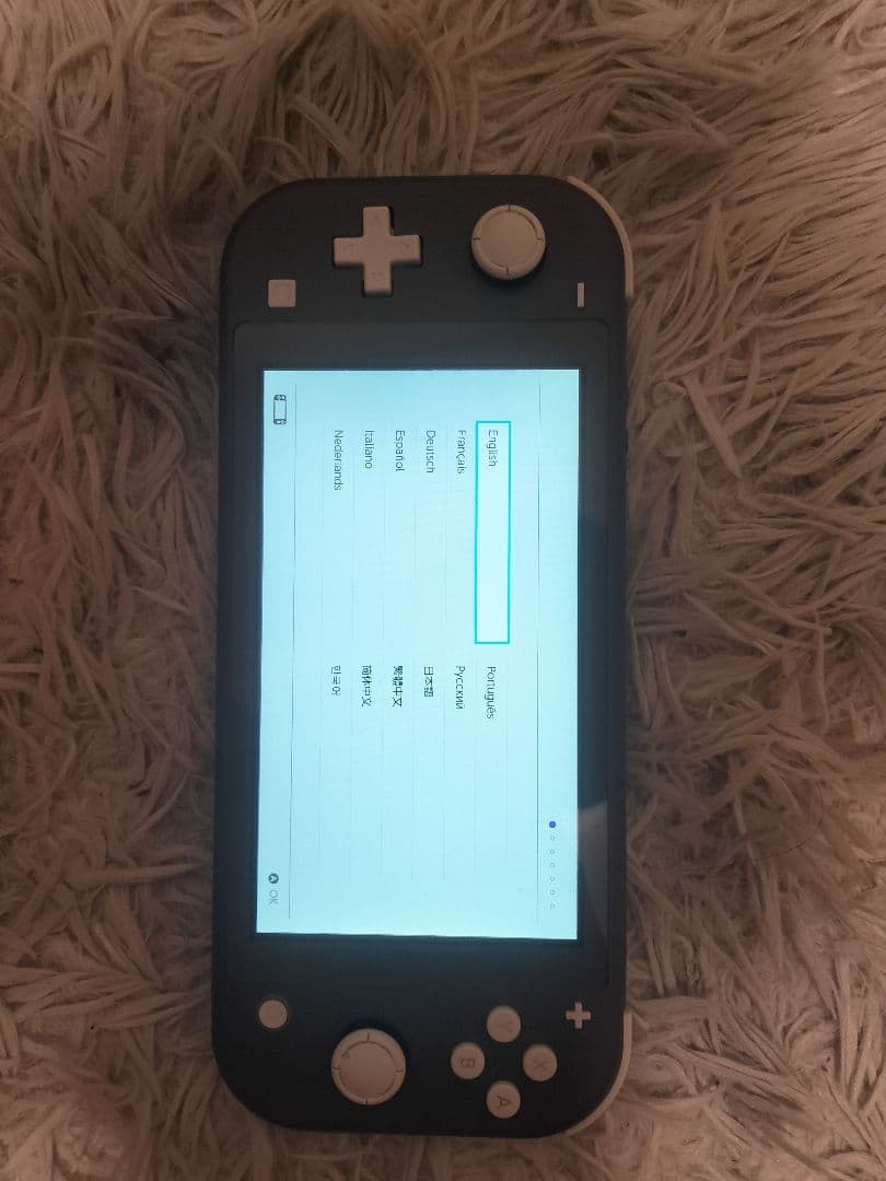 Nintendo Switch ライト グレー