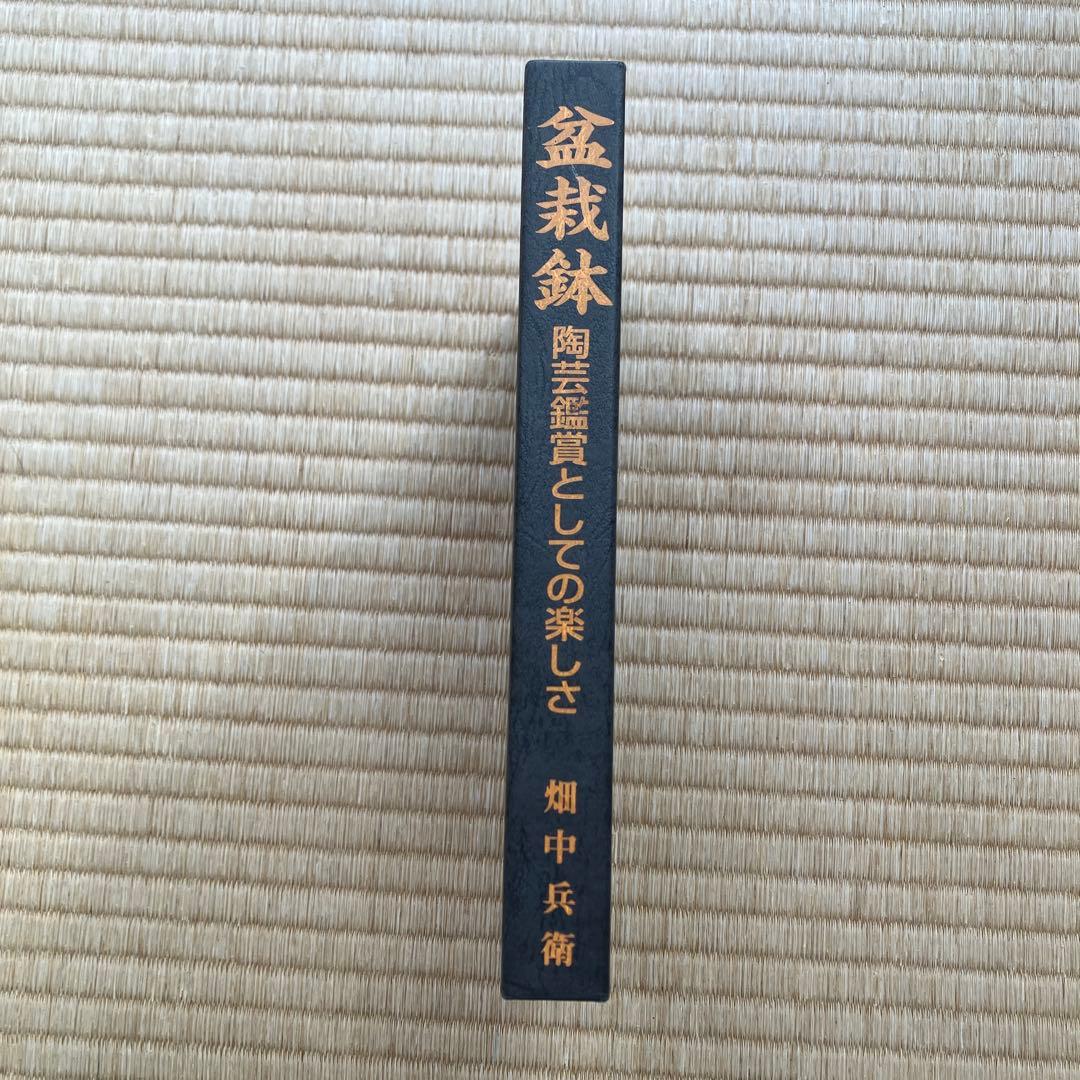 盆栽鉢　陶芸鑑賞としての楽しさ