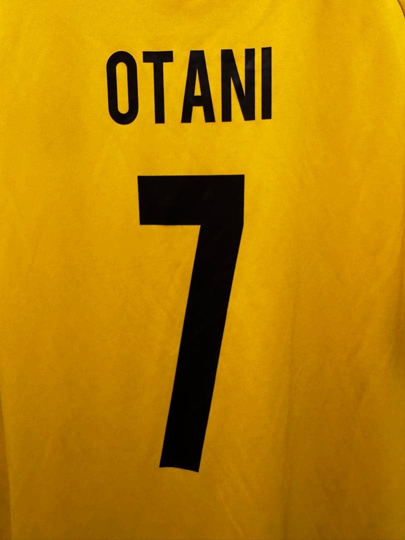 柏レイソル ACL ユニフォーム 大谷秀和選手